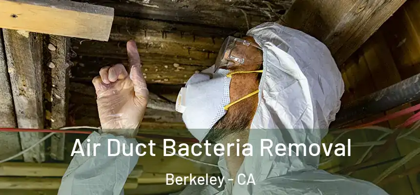  Air Duct Bacteria Removal Berkeley - CA