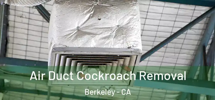Air Duct Cockroach Removal Berkeley - CA