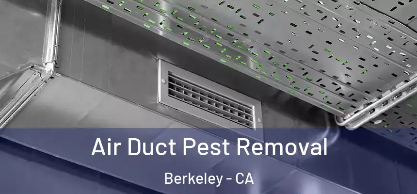Air Duct Pest Removal Berkeley - CA