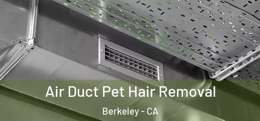 Air Duct Pet Hair Removal Berkeley - CA