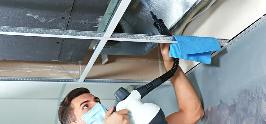 Our Air Duct Rodent Removal Services in Berkeley, CA