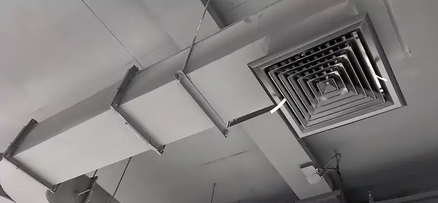 Restorative Allergy Relief Vent Cleaning – Coil, Blower & Housing Detail in Berkeley