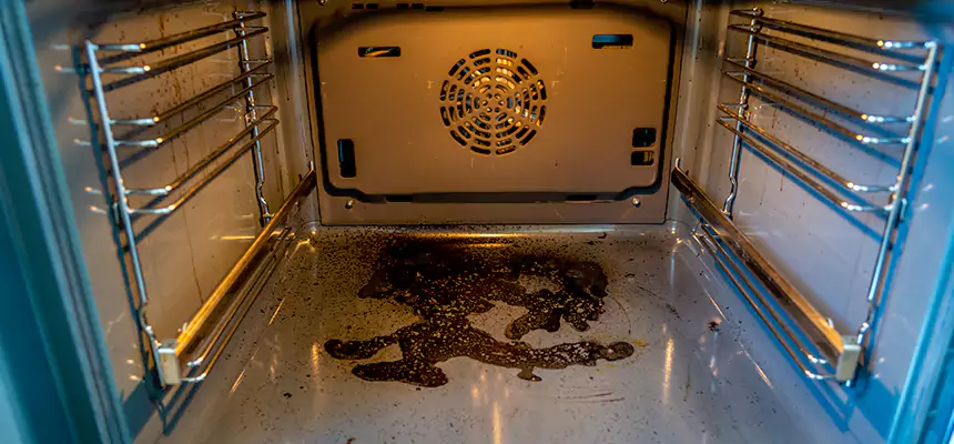 Our Dryer Vent Mold Cleaning Services in Berkeley, CA