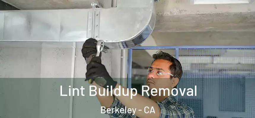 Lint Buildup Removal Berkeley - CA