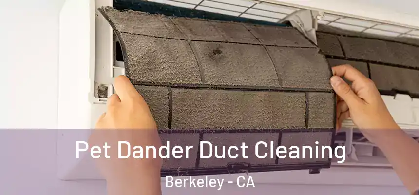 Pet Dander Duct Cleaning Berkeley - CA