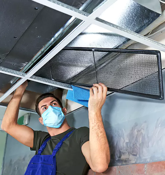 About Air Duct Bacteria Removal in Berkeley