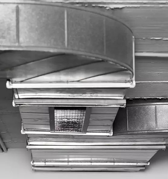 Professional Air Duct Pest Removal in Berkeley, CA