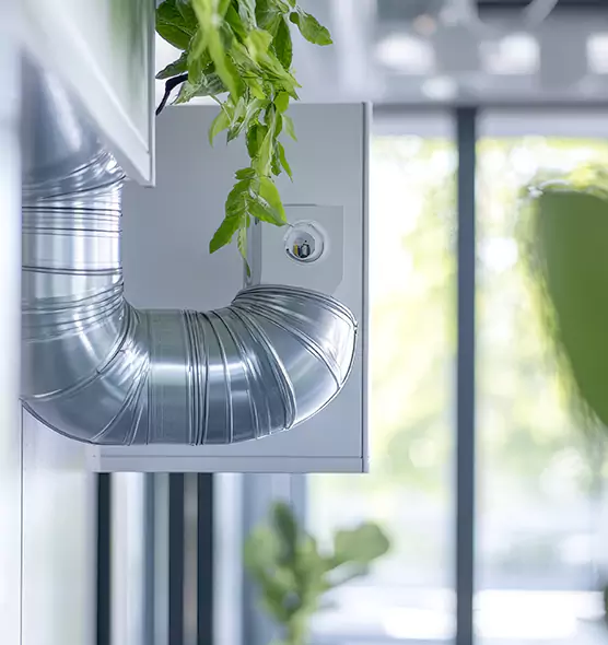 Professional Eco-Friendly Duct Cleaning Services in Berkeley, CA