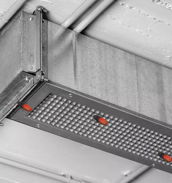 Affordable Insect Removal from Air Ducts in Berkeley, CA