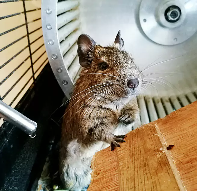 Why Homeowners & Businesses Trust Us Berkeley, CA?