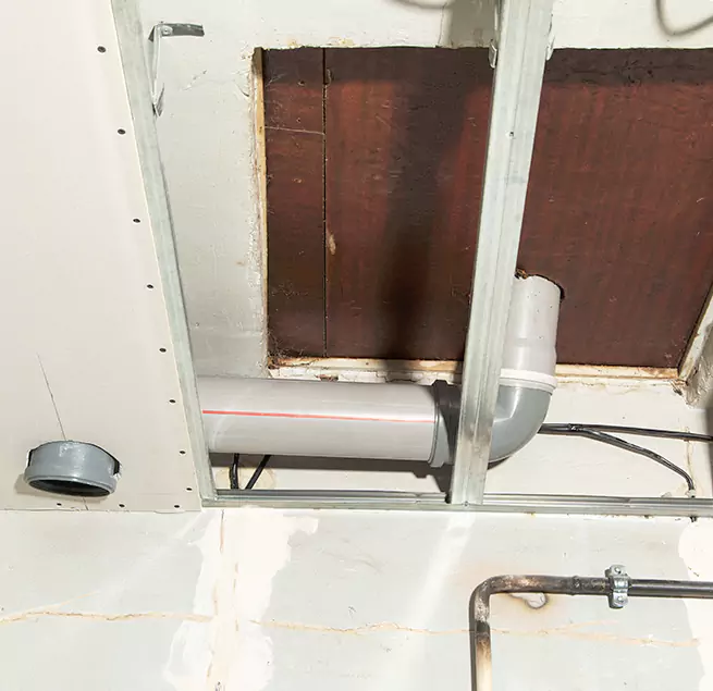 Why Homeowners & Businesses Trust Us in Berkeley, CA?