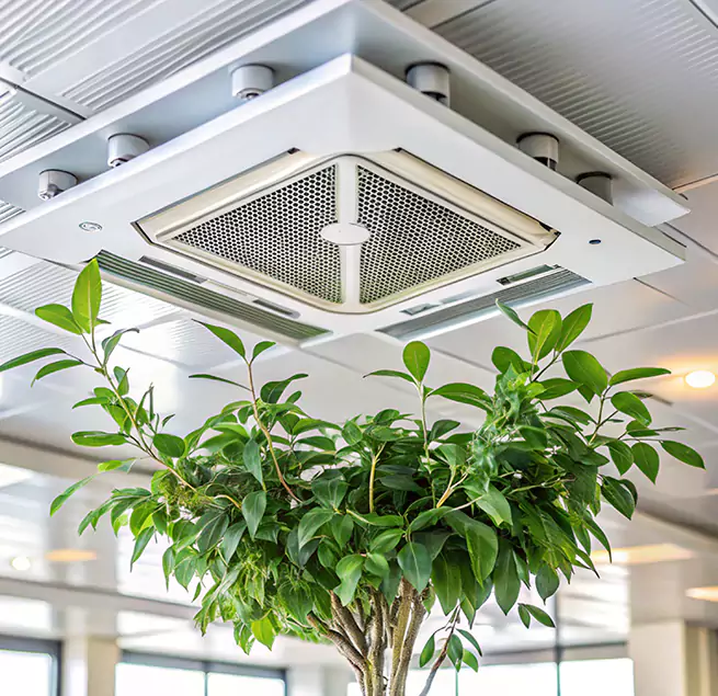 Why Homeowners & Businesses Trust Us in Berkeley, CA?