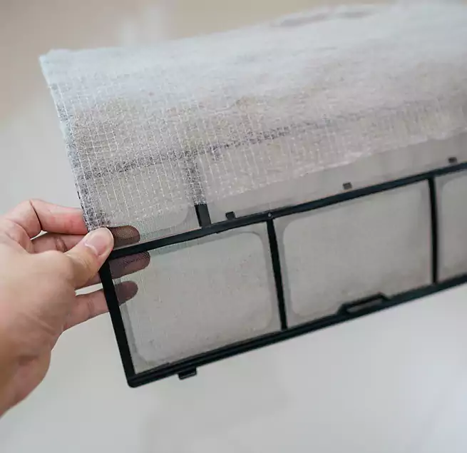 Why Homeowners & Businesses Trust Us in Berkeley, CA?