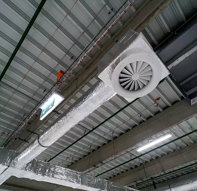 Why Homeowners & Businesses Trust Us in Berkeley, CA