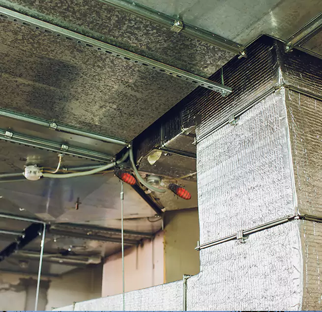 Why Homeowners & Businesses Trust Us Berkeley, CA?