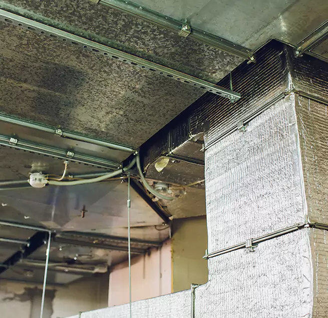 Why Homeowners & Businesses Trust Us in Berkeley, CA?