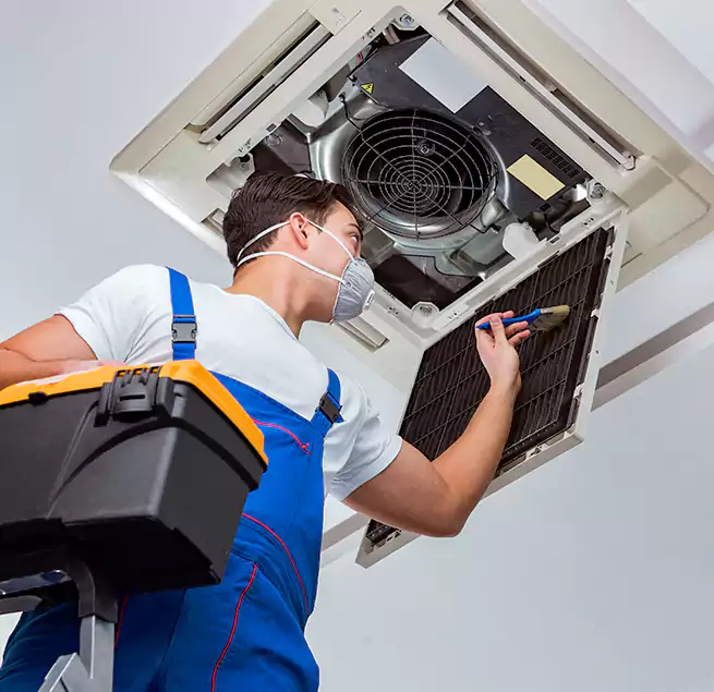 Why Homeowners & Businesses Trust Us in Berkeley, CA?